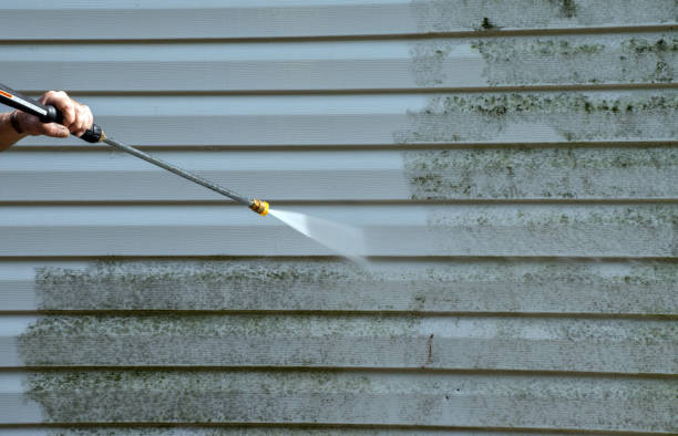 Best Residential Mold Removal  in Scottdale, GA