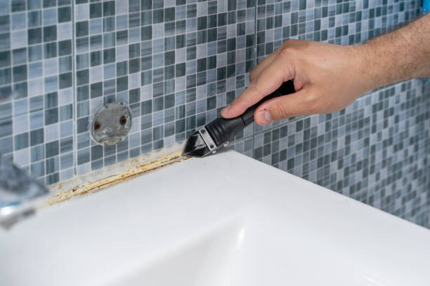 Best Mold Removal Company Near Me  in Scottdale, GA